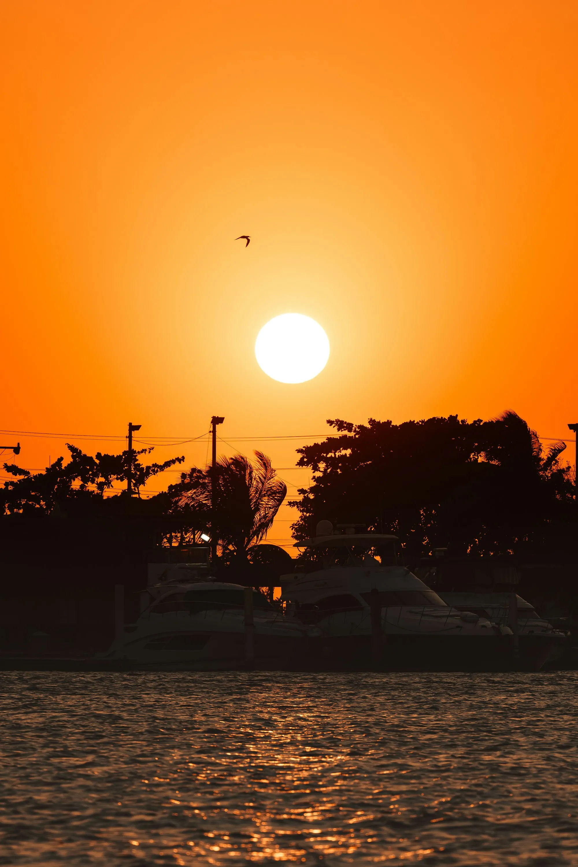 The bay of Cartagena at sunset