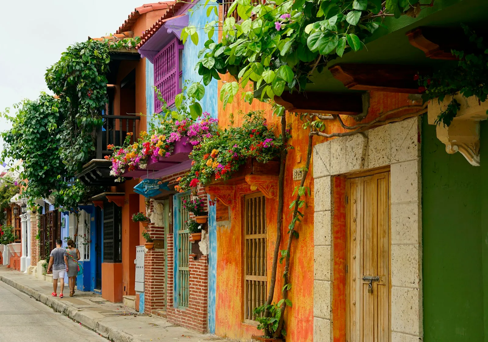 Multicolored houses along a Getsemaní street